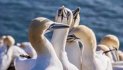 开云直播官网-开启未来之旅——Kaiyun引领智能生活新风尚