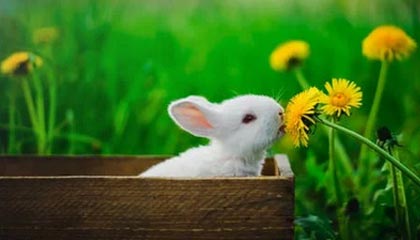 开云体育官网-开云体育——让运动精彩触手可及